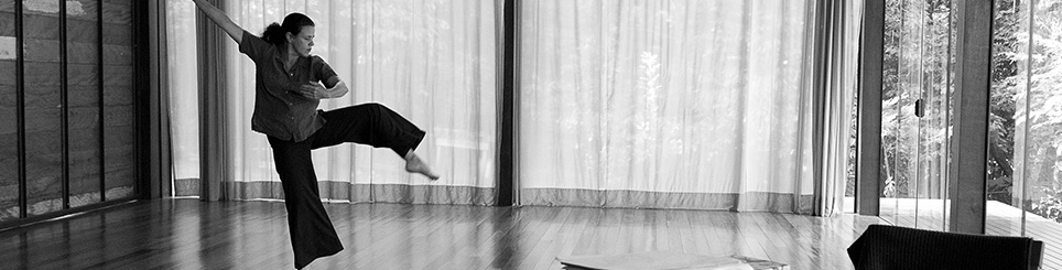 964x245_0039_A-projetista3