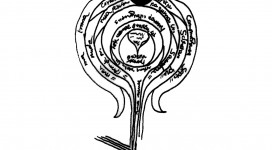 adedanha